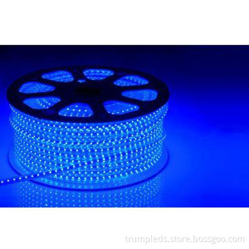 5050 rgb led strip high voltage ac 110V 220V